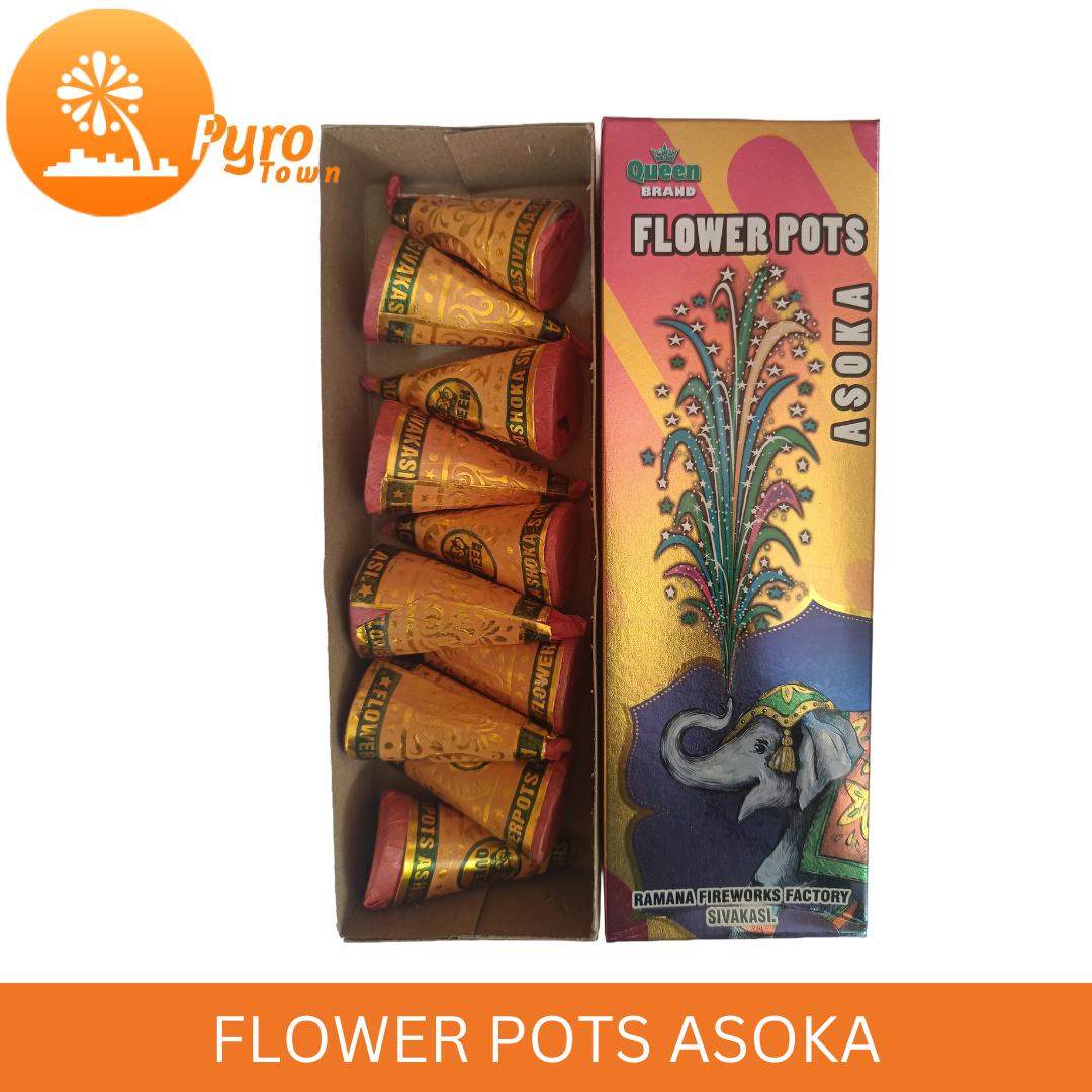 Flower Pots Ashoka
